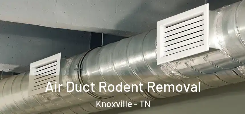  Air Duct Rodent Removal Knoxville - TN
