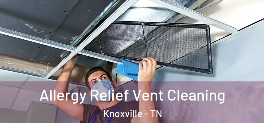 Allergy Relief Vent Cleaning Knoxville - TN