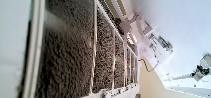 Preventive Air Duct Bacteria Removal in Knoxville