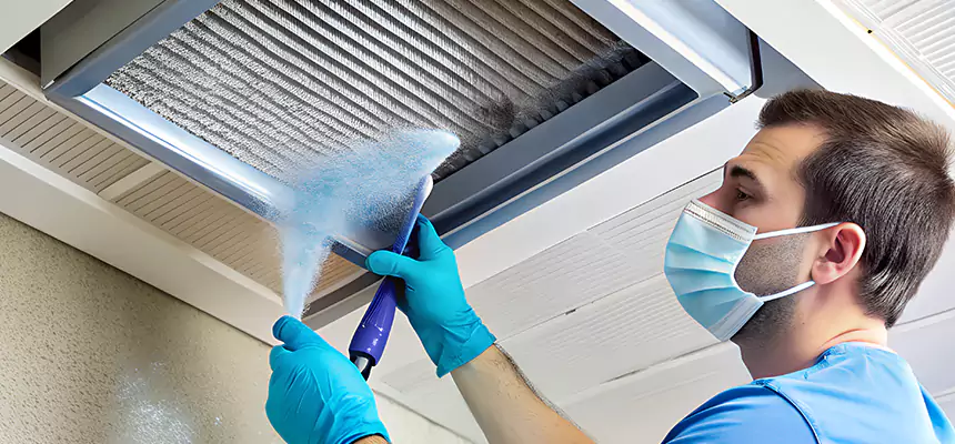 Proactive Dryer Vent & Auxiliary Duct Pollen Cleanup in Knoxville, TN