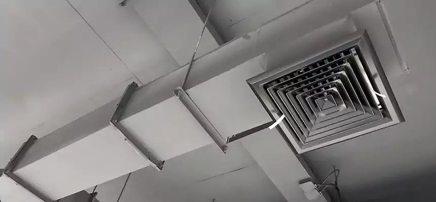 Our Rodent Droppings In Vents Services in Knoxville, TN