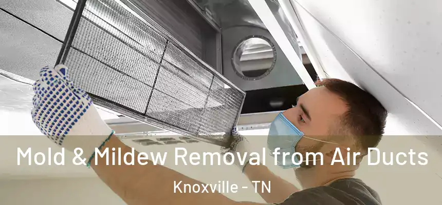 Mold & Mildew Removal from Air Ducts Knoxville - TN