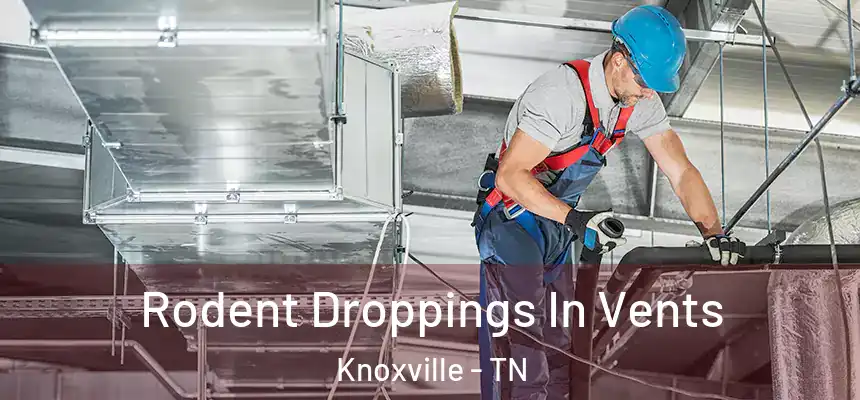 Rodent Droppings In Vents Knoxville - TN