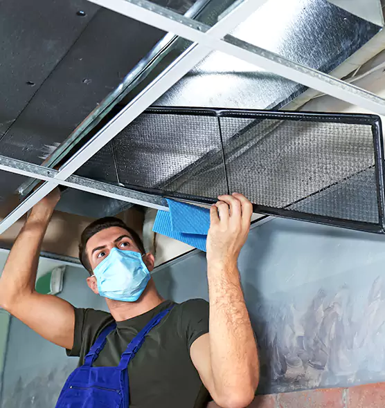 Professional Air Duct Pollen Cleaning in Knoxville, TN