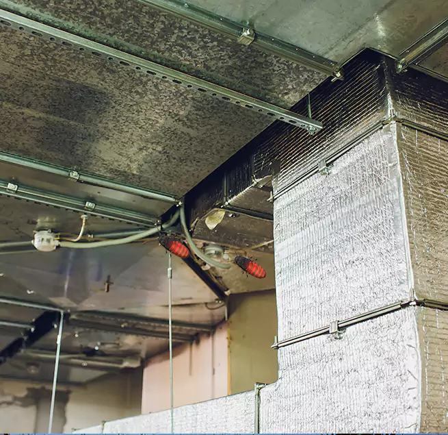 Why Homeowners & Businesses Trust Us in Knoxville, TN?