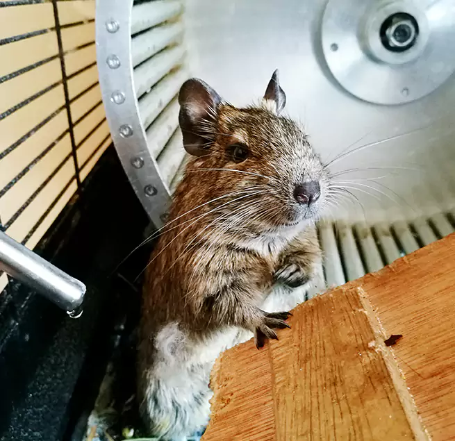 Why Homeowners & Businesses Trust Us Knoxville, TN