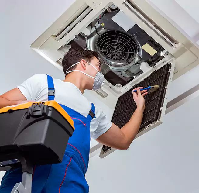 Why Homeowners & Businesses Trust Us in Knoxville, TN