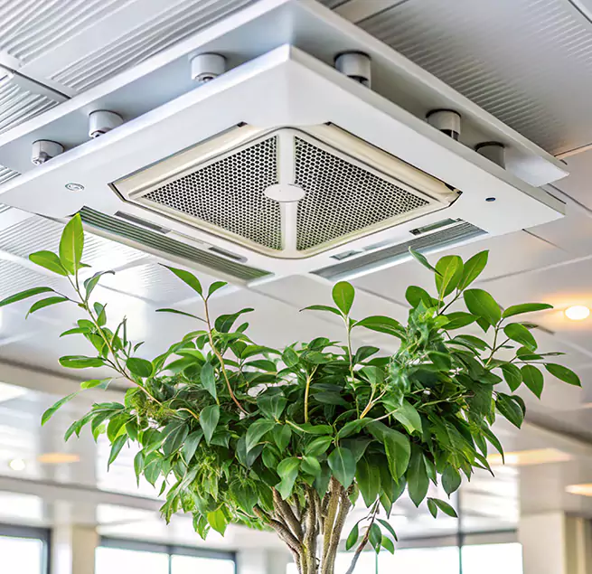 Why Homeowners & Businesses Trust Us in Knoxville, TN