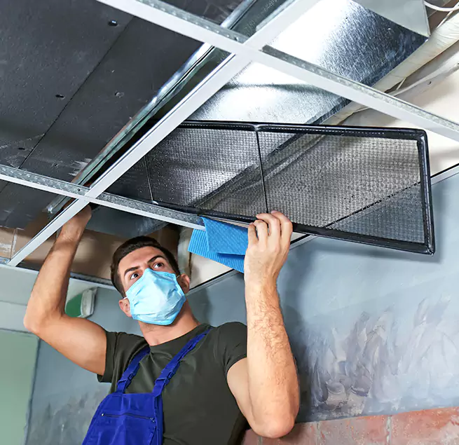 Why Homeowners & Businesses Trust Us in Knoxville, TN?